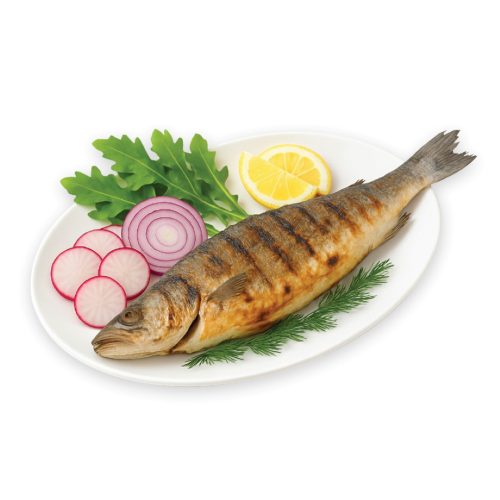 levrek (Large)